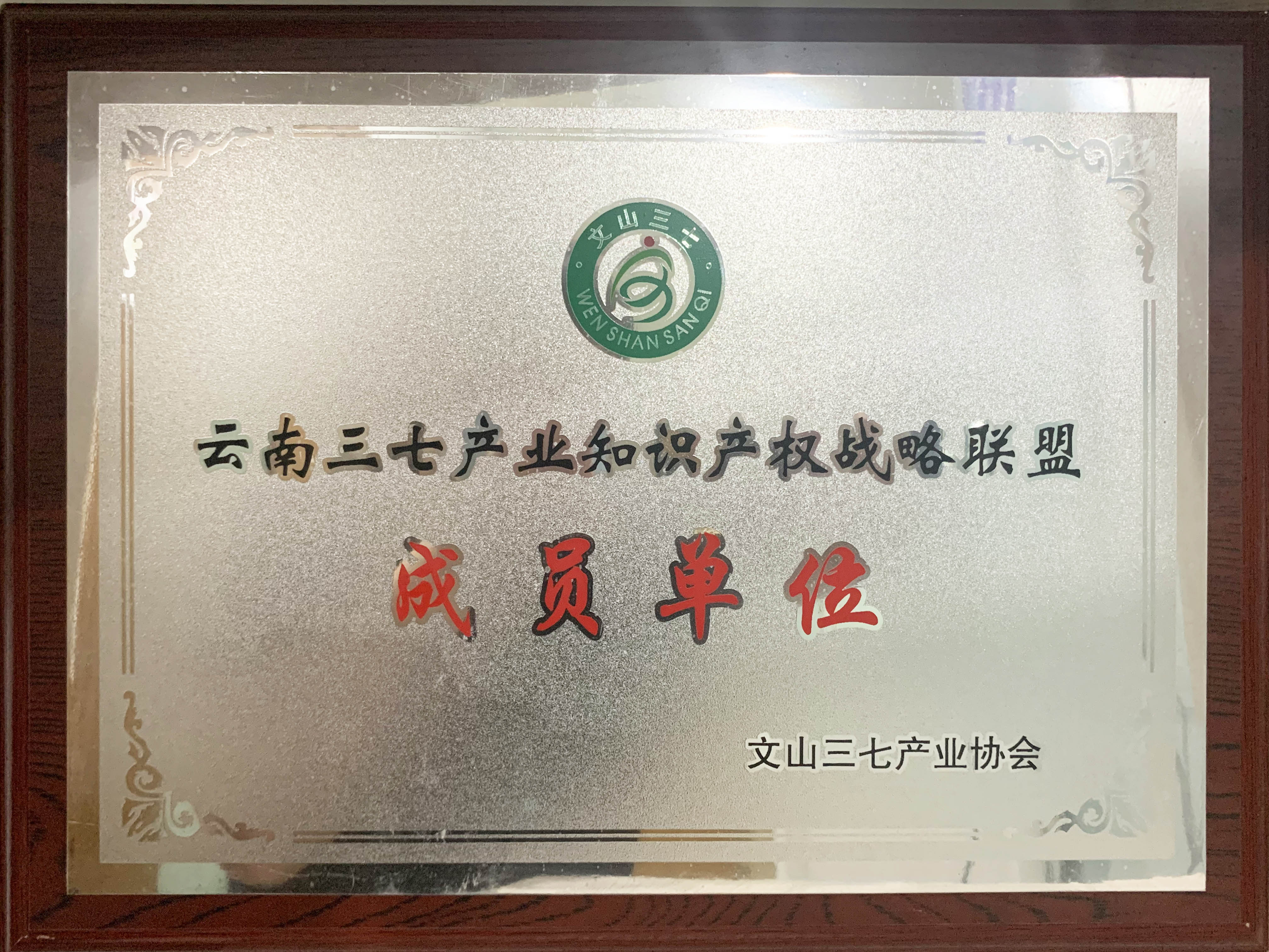 云南三七产业知识产权战略联盟成员单位