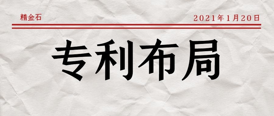 从「桑枝总生物碱片」看中药领域专利布局