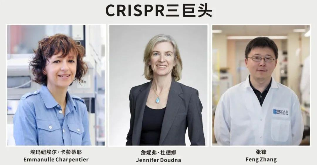 中国科学家张峰专利胜诉诺贝尔化学奖得主，看基因编辑的专利布局
