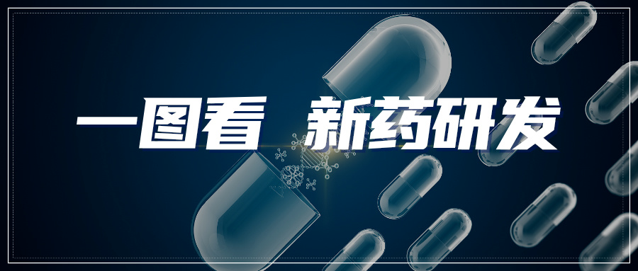 情报速递｜一图看新药研发领域专利进展——小分子药罗氏