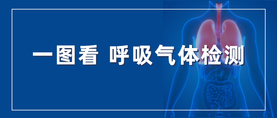 医学检测｜一图看 呼吸气体检测