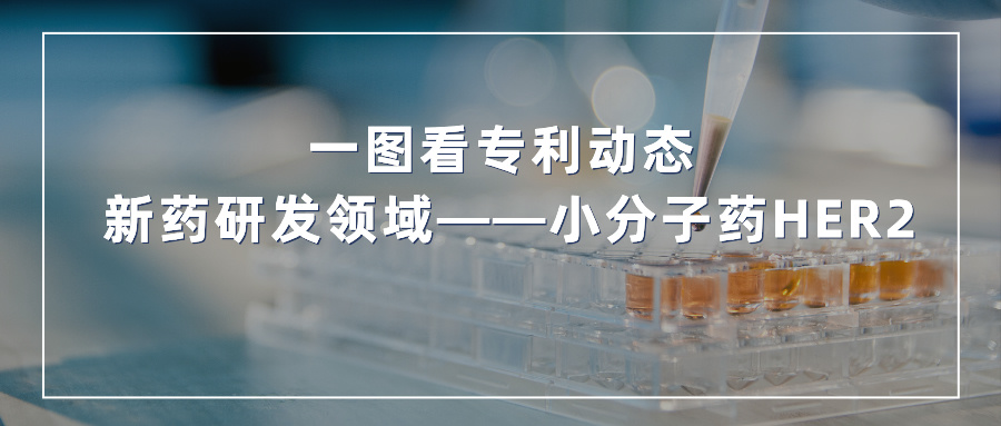 一图看发明专利动态 | 新药研发领域——小分子药HER2