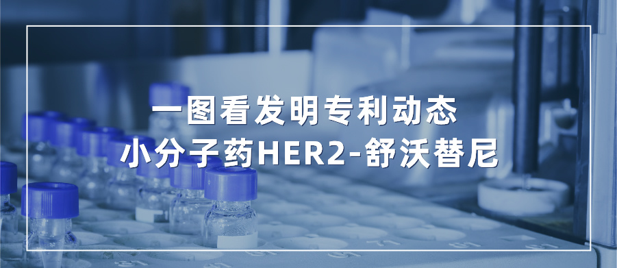 一图看发明专利动态｜新药研发领域——小分子药HER2-舒沃替尼