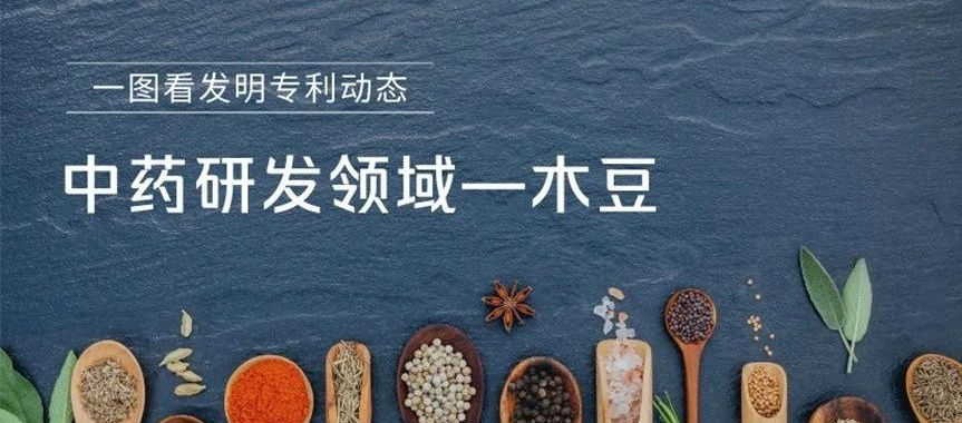 一图看发明专利动态｜中药研发领域——木豆
